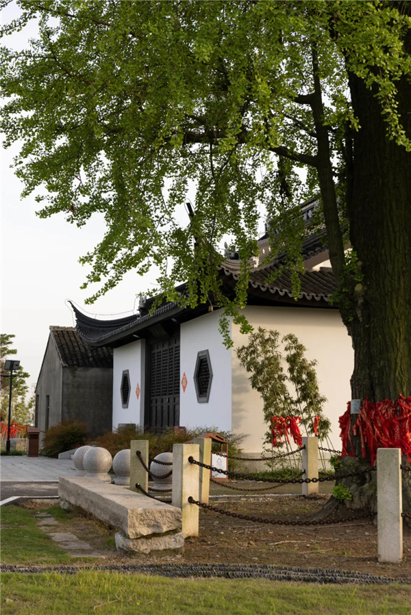 平介設計丨震澤“五美三優”鄉村景觀改造