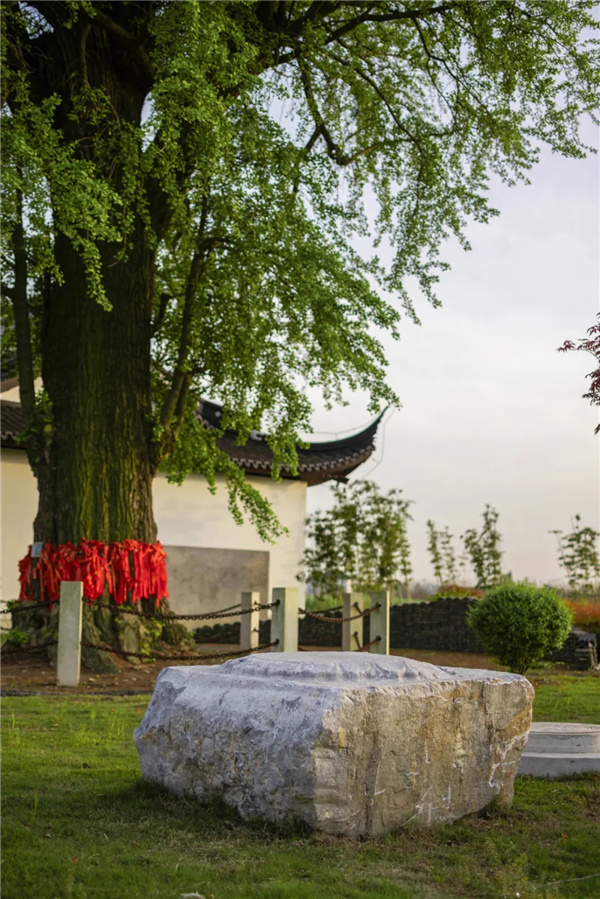 平介設計丨震澤“五美三優”鄉村景觀改造