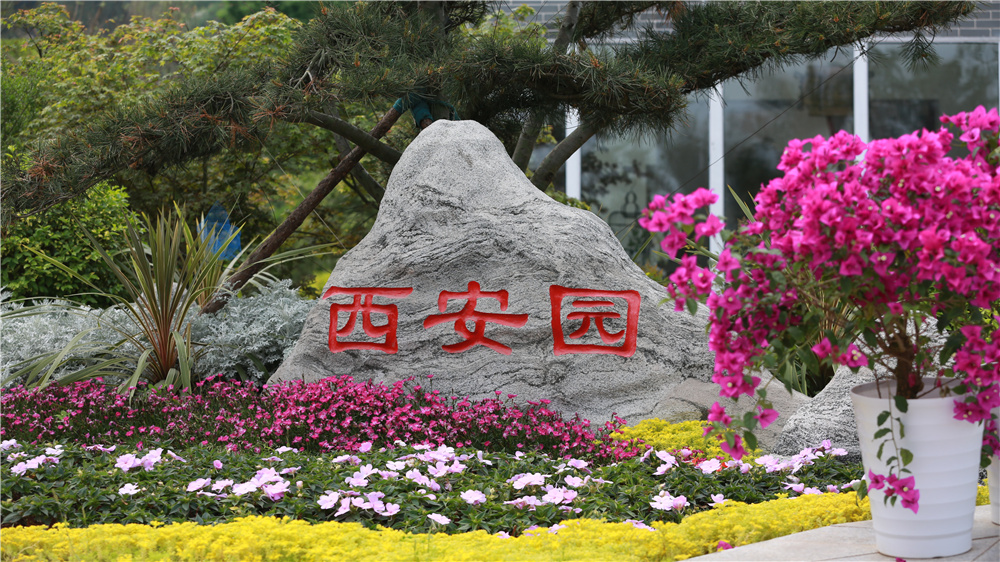 行業媒體成都世園行丨西安園