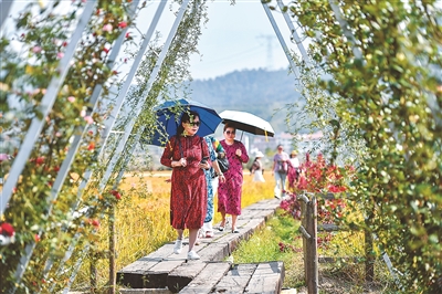 2024“鄉村創意生活季”系列活動啟動