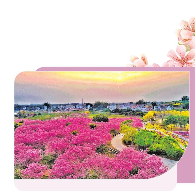 廣州“花卉+文旅”釋放疊加效應(yīng)