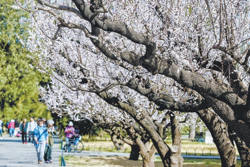 京津冀互邀三地市民赴“花約”