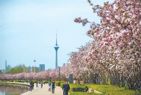 京津冀互邀三地市民赴“花約”