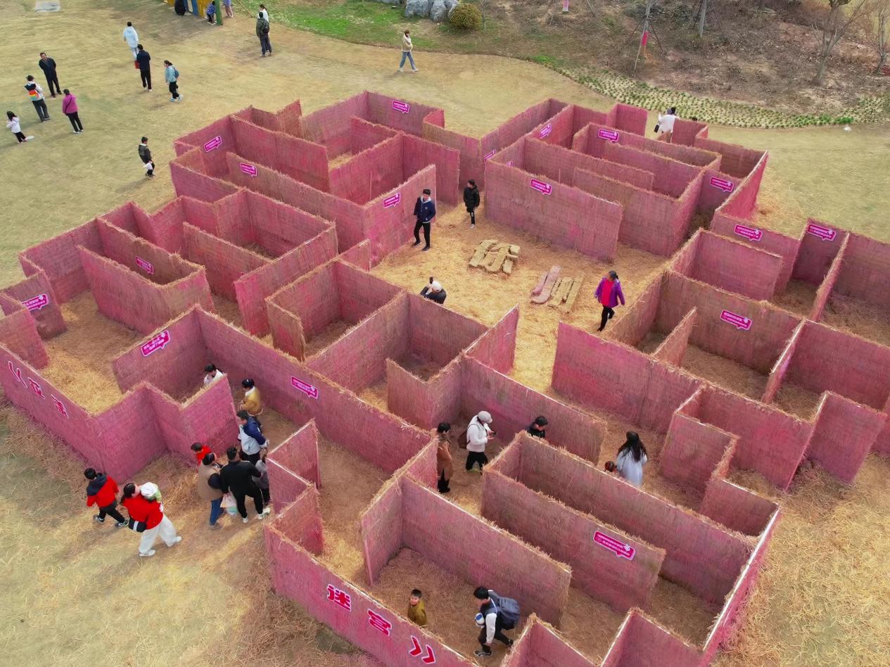 徐州園博園第三屆花海大地藝術(shù)季絢麗啟幕