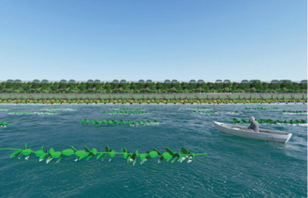 應對海平面上升的循環經濟戰略