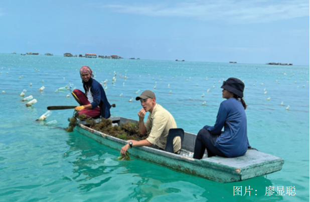 應對海平面上升的循環經濟戰略