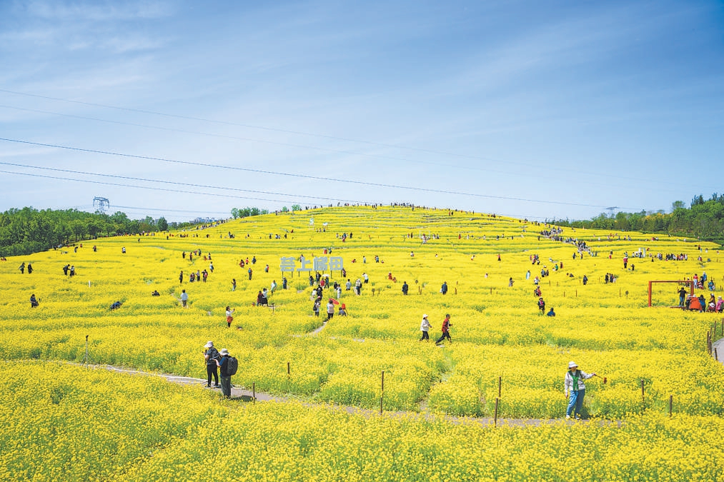 “千園之城”北京：公園里裝著都市生活下半場(chǎng)