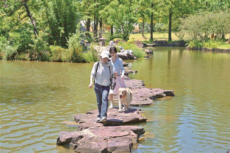 公園綠地如何“人寵雙向友好”？