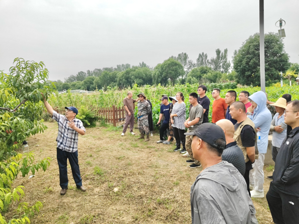 北京海淀區舉辦2025年果樹實用技術培訓