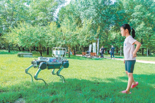 35款園林機器人亮相北京海淀公園