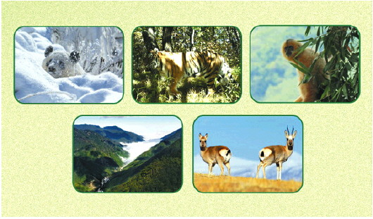 首批五個(gè)國(guó)家公園都有了“戶口本”