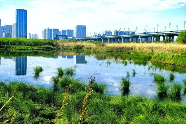 北京大學(xué)教授俞孔堅(jiān)在巴西墜機(jī)遇難