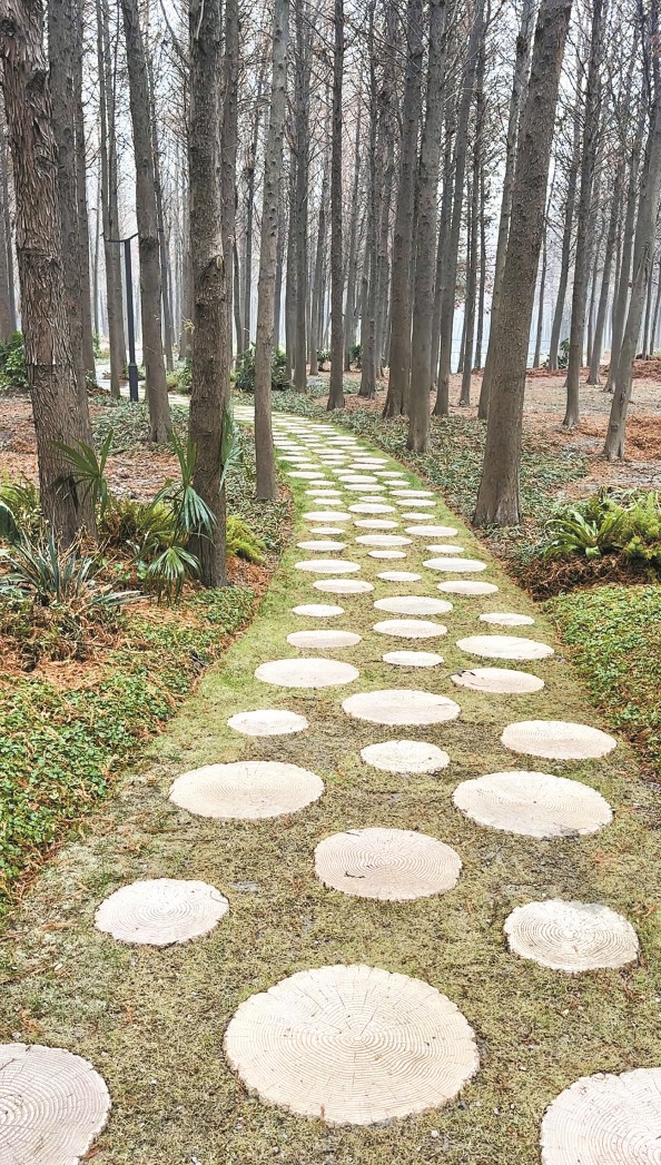 上海：“網紅公園”做對了什么？