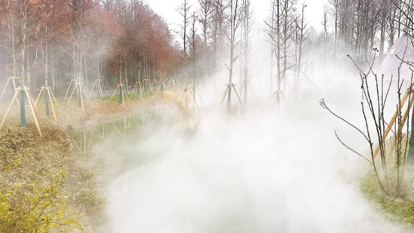 上海：“網紅公園”做對了什么？