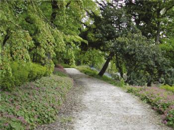 中國風景園林網