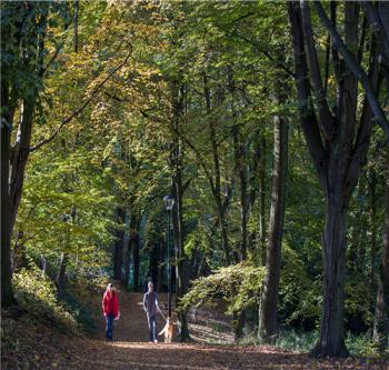 城鄉之間迷人的過渡區域——荷蘭凱爾克拉德城市公園