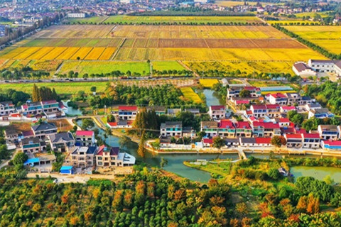 清華美院聯(lián)合編制江蘇首個(gè)鄉(xiāng)村建設(shè)美學(xué)導(dǎo)則發(fā)布