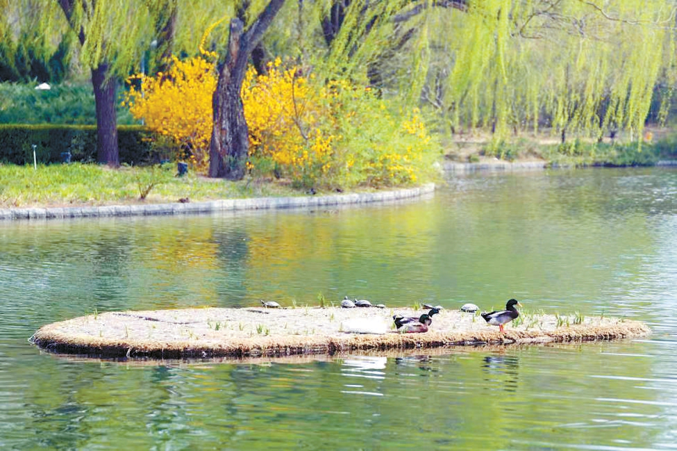 北京海淀:生態代碼寫入創新程序