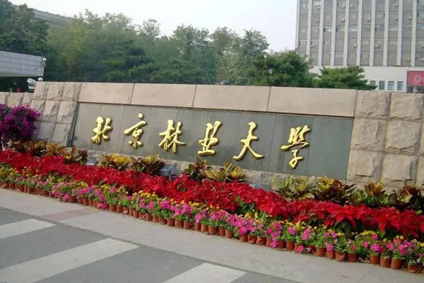 北林大三門園林課躋身國家級(jí)一流行列