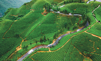 主題游徑如何“走”？