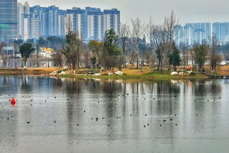 成都不斷探索公園城市建設實踐路徑