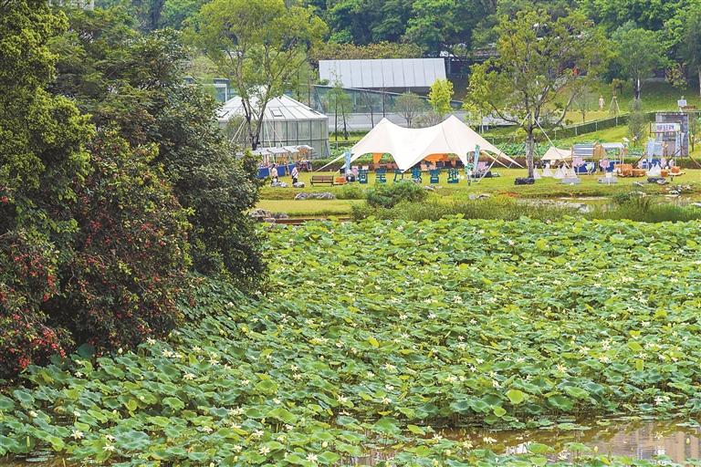 “公園+市集”出圈 解鎖地?cái)傂峦娣?></a>
</div>
<div   id=