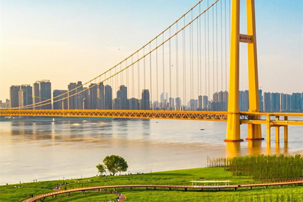 園冶杯參賽作品丨武漢百里長江生態廊道