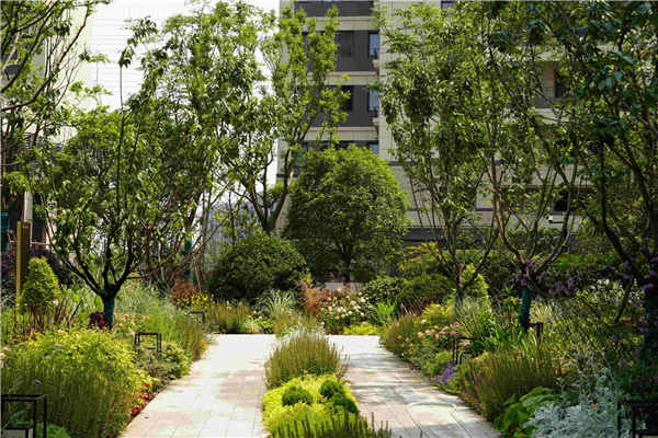 園冶杯參賽作品丨上海南山虹橋領峯花境