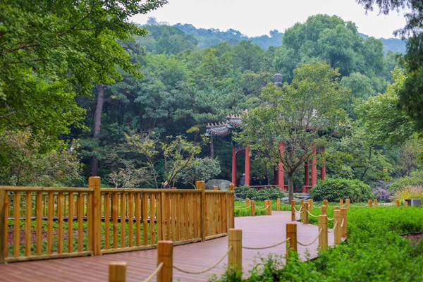 北京香山公園設(shè)立首個古樹保護示范區(qū)