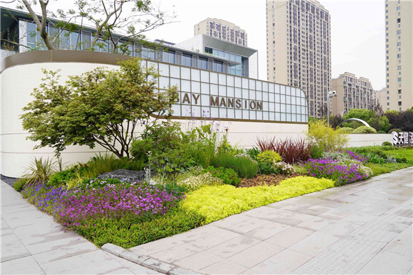 園冶杯參賽作品丨吳江項目展示區花境