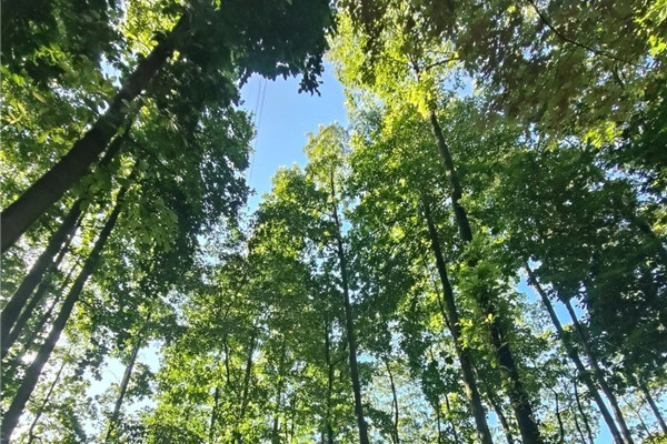 京都風景助力北京生態文明發展建設的十年