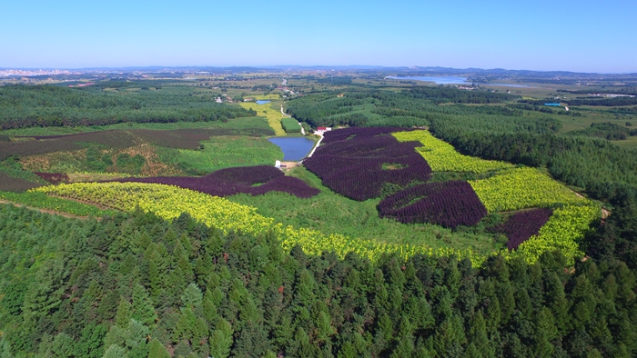 國家林草局：今年我國將完成國土綠化1億畝