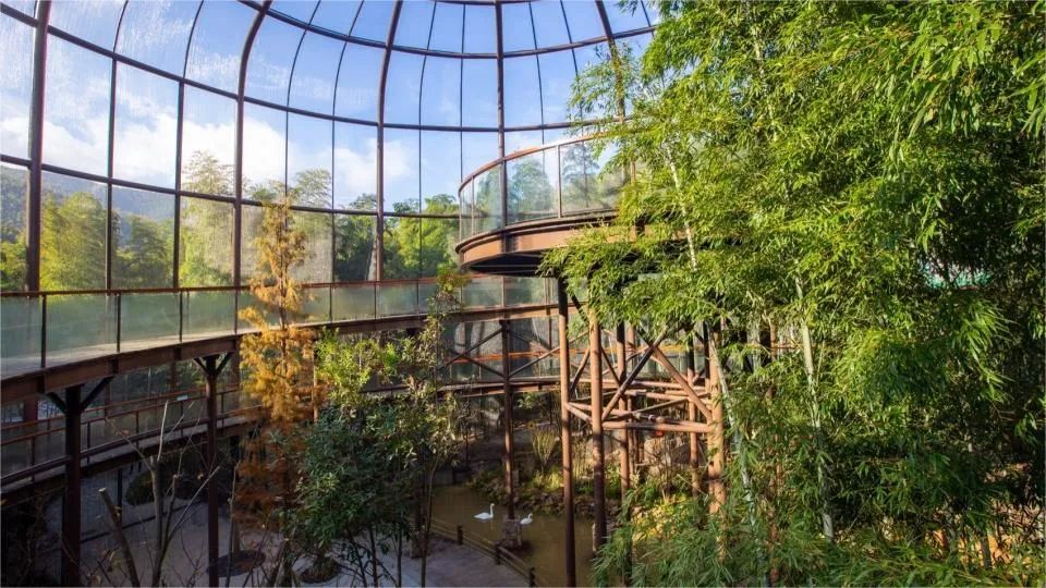 詩與遙丨南山竹海大鳥籠