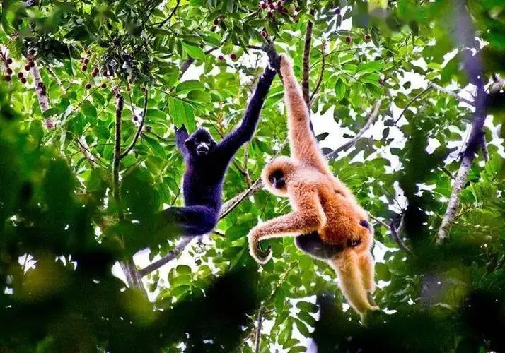 如何做好生態旅游大文章?