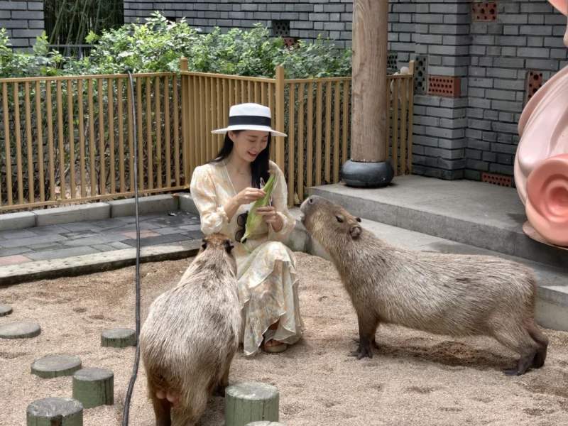 北京大興推出暑期旅游線路