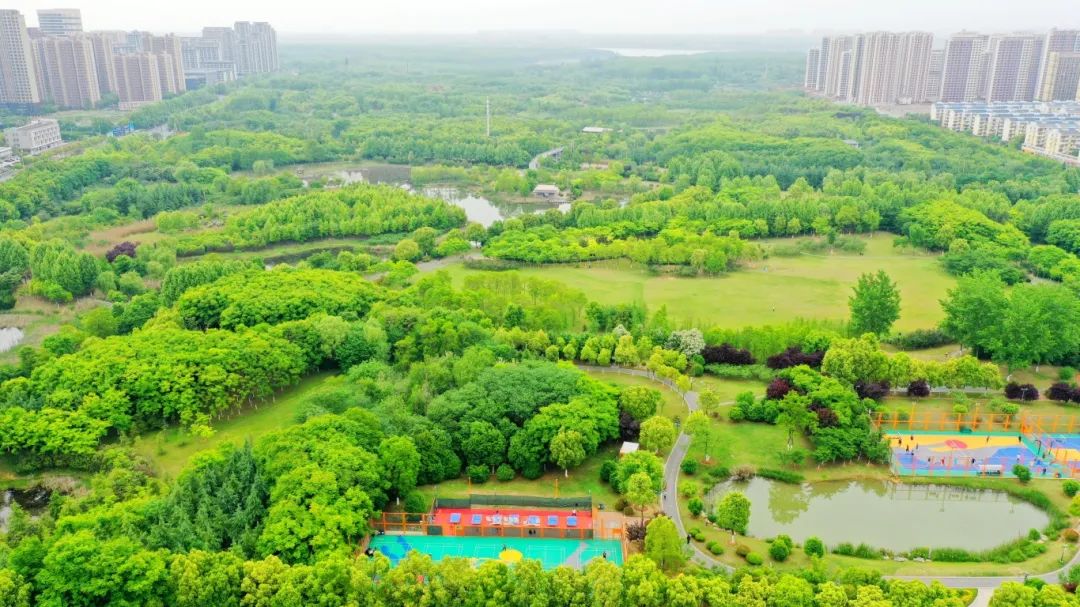 安徽加快推進高品質城市公園建設