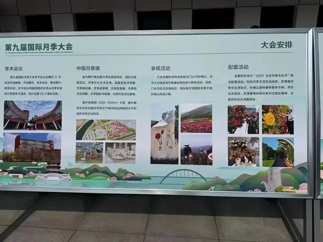 國際月季大會(huì)首次落地中國 將于2025年5月舉辦