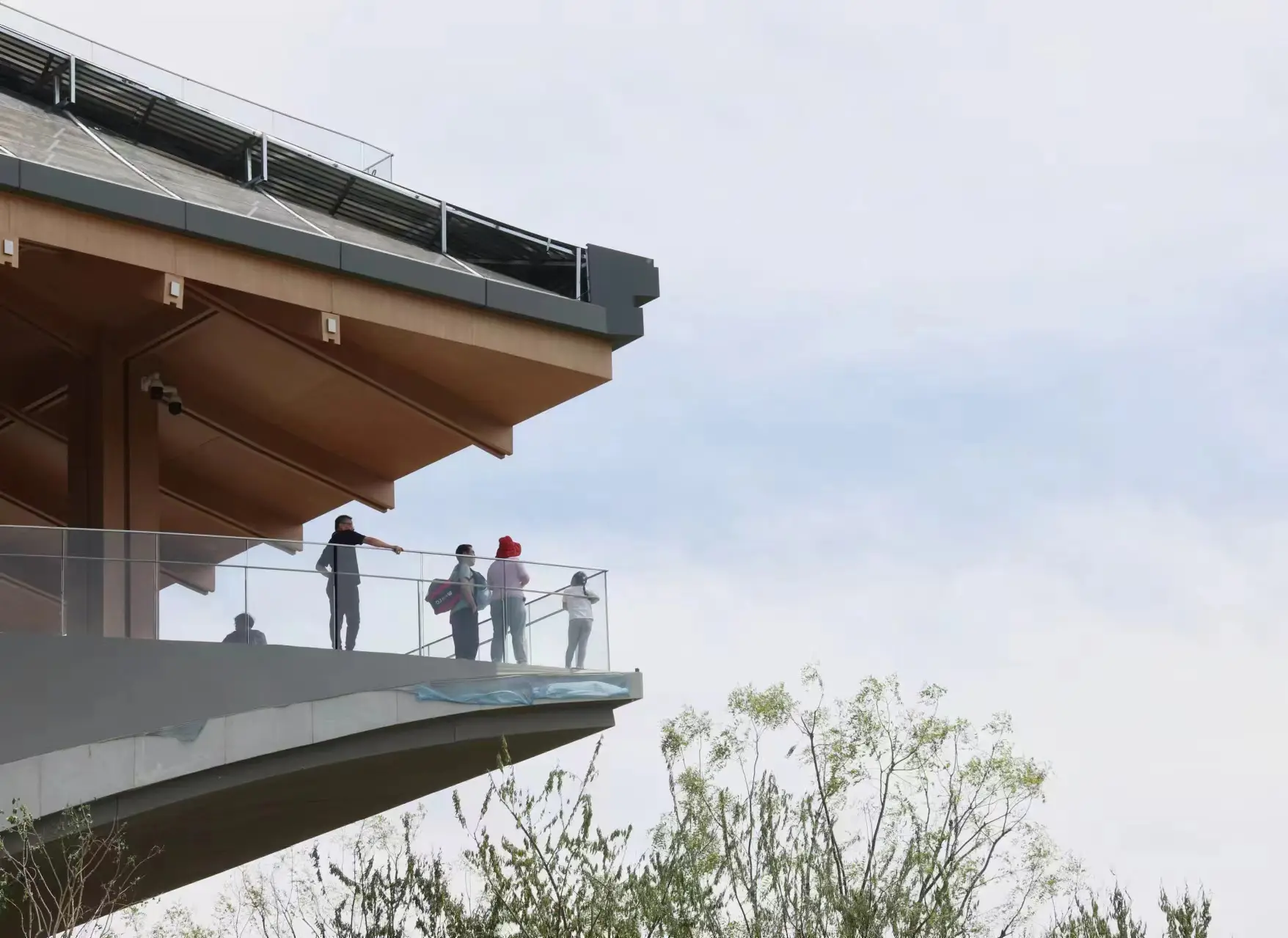 南苑森林公園如何成為年輕人的“天空之城”？