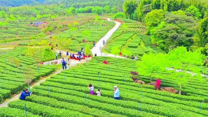 以農(nóng)文旅深度融合大力提振消費