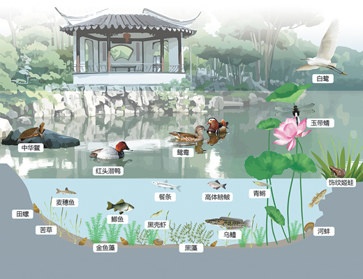 蘇州園林，何以展現(xiàn)生態(tài)意境？