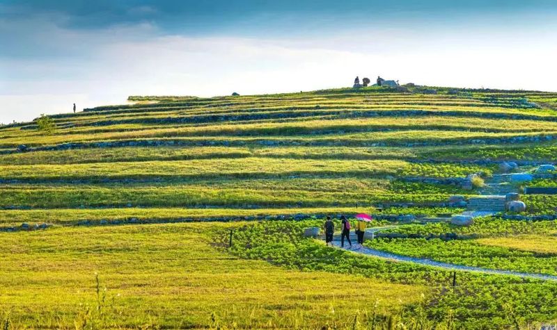 今年北京將新增公園綠地200公頃