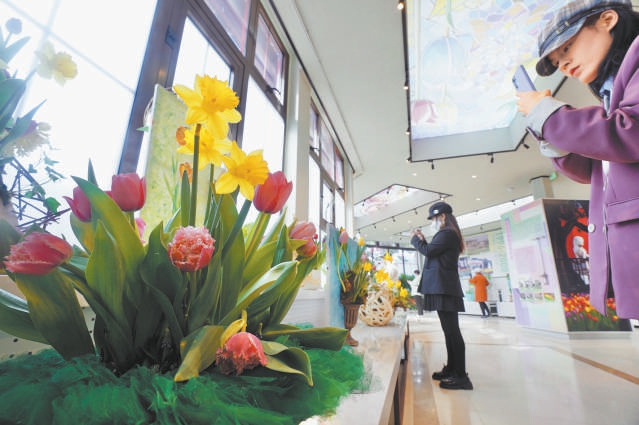 北京市屬公園推40余處賞花經典片區