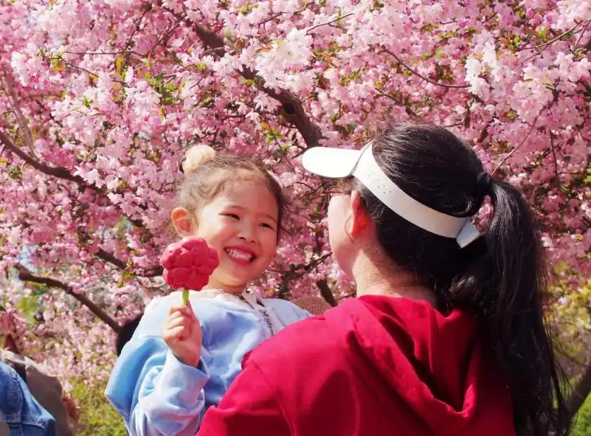 “節氣+文旅”為市場注入新動能