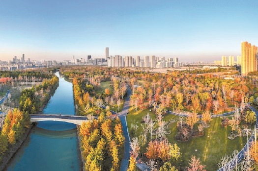 上海建成各類公園1100座 2030年“公園城市+潔凈城市”